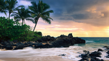 Картинка природа тропики пальма камни море