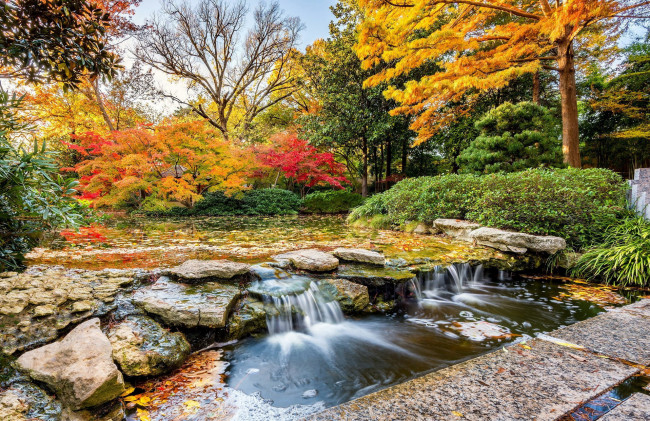 Обои картинки фото природа, водопады, водоем, парк, водопад, деревья, осень