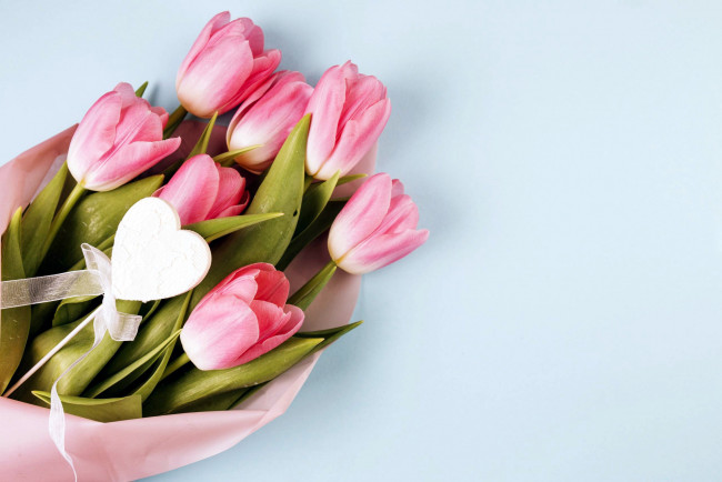 Обои картинки фото цветы, тюльпаны, розовые, бутоны, букет, сердечко