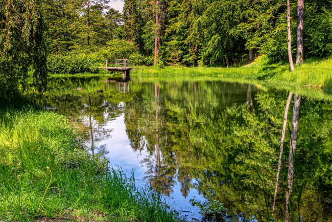 Обои картинки фото природа, реки, озера, заводь, река, зелень, лето