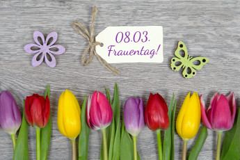 обоя праздничные, международный женский день - 8 марта, цветы, тюльпаны
