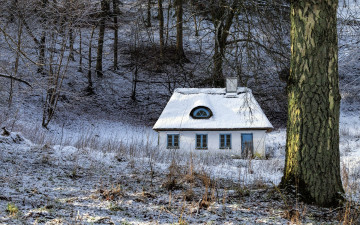 Картинка города -+здания +дома лес деревья дом снег зима