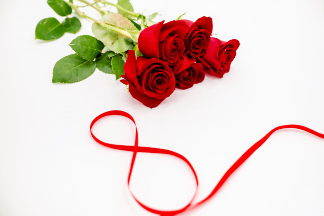 Обои картинки фото праздничные, международный женский день - 8 марта, цветы, розы, лента