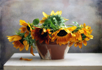 Картинка рисованные цветы подсолнухи ваза стол фон