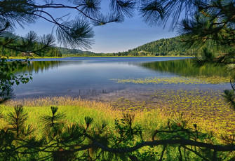 Картинка природа реки озера галька пляж река лес холмы