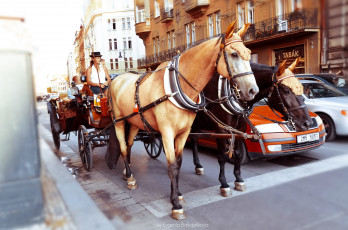 Картинка города прага+ Чехия прага возница лошади повозка улица столица машины траффик здания дома