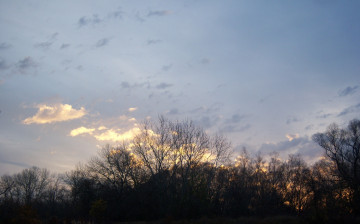 Картинка природа восходы закаты осень облака деревья небо ветви рассвет
