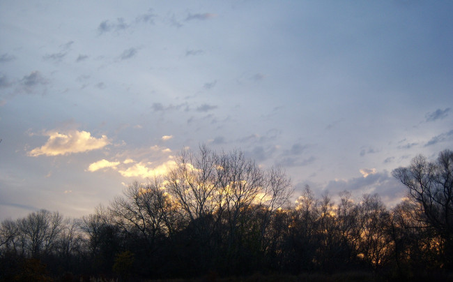 Обои картинки фото природа, восходы, закаты, осень, облака, деревья, небо, ветви, рассвет