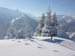 Картинка природа зима горы следы деревья лес снег