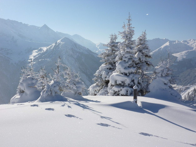 Обои картинки фото природа, зима, горы, следы, деревья, лес, снег