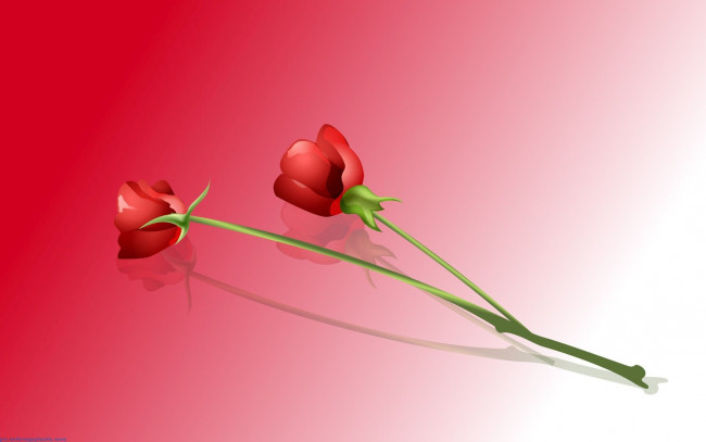 Обои картинки фото векторная графика, цветы , flowers, красные, розы