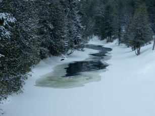 Картинка природа зима снег ручей деревья