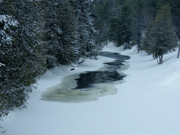 Обои картинки фото природа, зима, снег, ручей, деревья