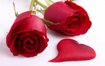 Картинка цветы розы красные сердечко