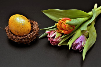 Картинка праздничные пасха гнездо яйцо тюльпаны