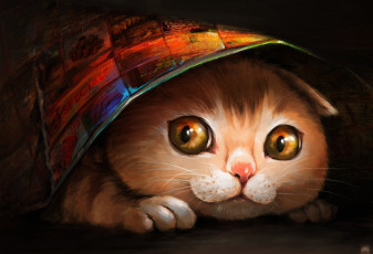 Картинка рисованные животные коты кот кошка ryuuka-nagare морда
