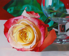 Картинка karina rodriguez рисованные роза