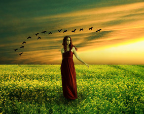 Картинка фентези фэнтези девушки закат поле девушка птицы