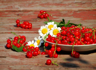 Картинка еда смородина дары лета ягоды