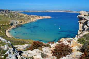 Картинка mellieha malta природа побережье
