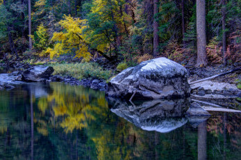 Картинка природа реки озера камень лес