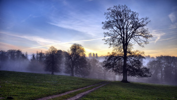 Картинка природа дороги поле дорога деревья туман