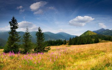 Картинка природа луга горы луг деревья трава цветы