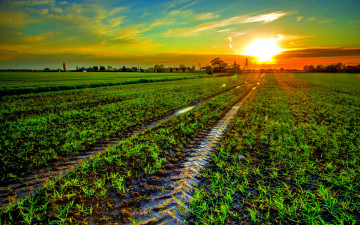 Картинка природа восходы закаты трава поле следы закат