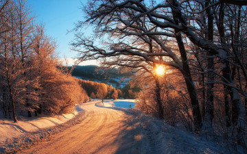 Картинка природа зима деревья дорога снег