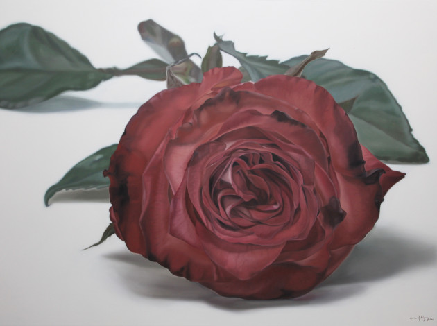 Обои картинки фото karina, rodriguez, рисованные, роза