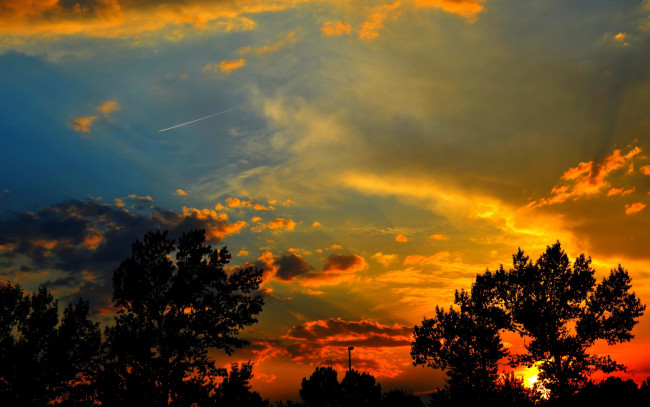 Обои картинки фото природа, восходы, закаты, деревья, облака, заря