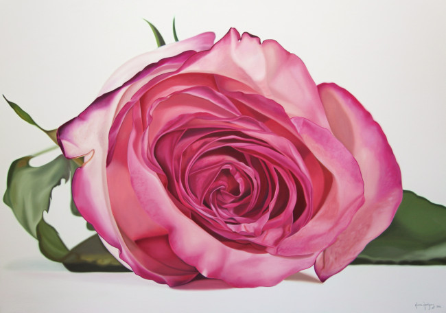 Обои картинки фото karina, rodriguez, рисованные, роза