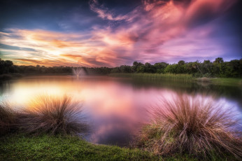 Картинка природа реки озера зарево трава озеро лес кочки