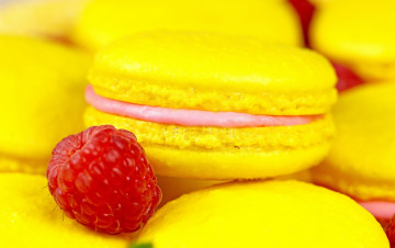 Картинка еда -+макаруны макарун малина печенье макро ягода