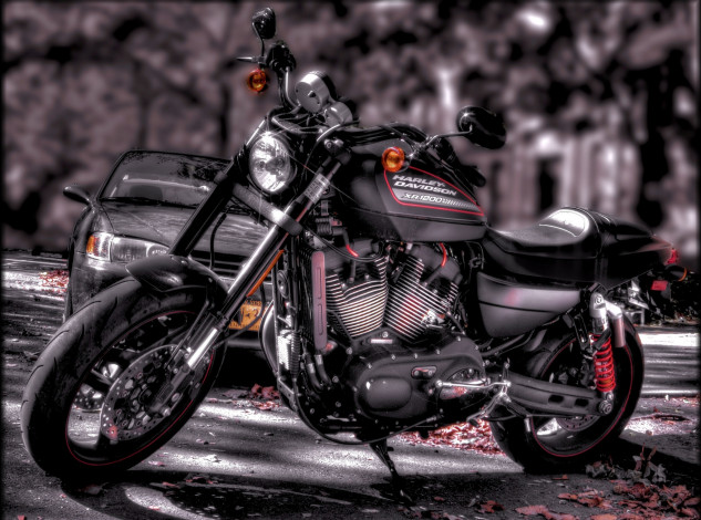 Обои картинки фото harley-davidson xr1200, мотоциклы, harley-davidson, байк, дорожный, сша, классический