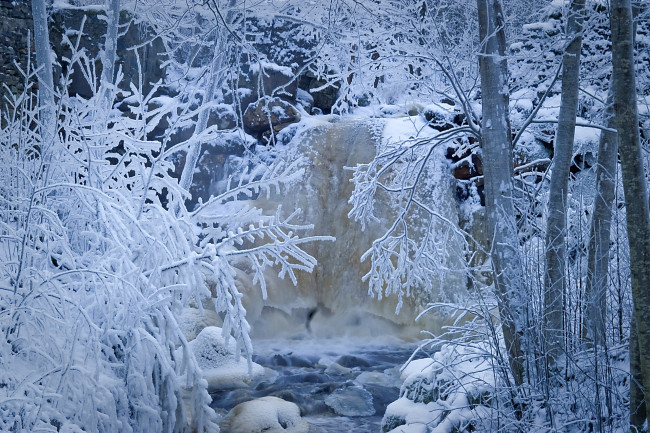 Обои картинки фото природа, зима, снег, лес, деревья, ручей, речка, швеция, иней