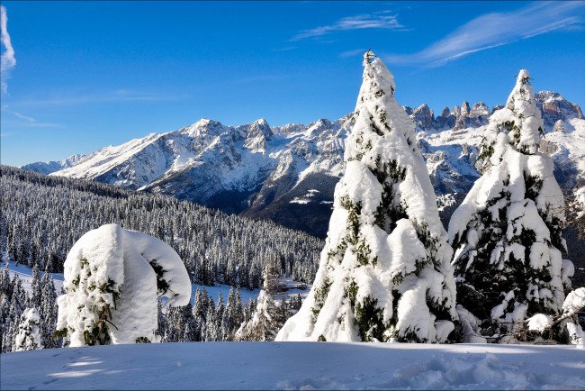 Обои картинки фото природа, зима, сугробы, снег, лес, горы