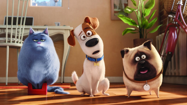 Обои картинки фото мультфильмы, the secret life of pets, персонаж