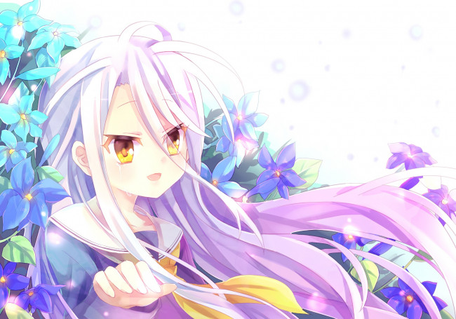 Обои картинки фото аниме, no game no life, девушка, взгляд, фон