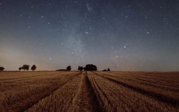 обоя природа, поля, ночь, поле, звезды