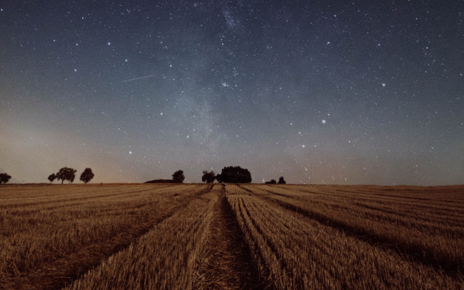 Обои картинки фото природа, поля, ночь, поле, звезды