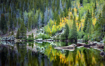 Картинка природа реки озера лес река отражение