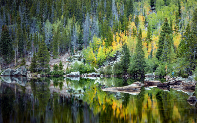 Обои картинки фото природа, реки, озера, лес, река, отражение