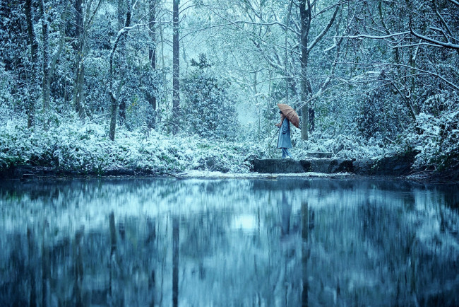 Обои картинки фото мужчины, xiao zhan, актер, пальто, шарф, зонт, озеро, лес, снег