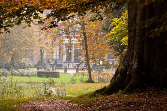 Картинка природа парк листва дерево особняк памятник дача