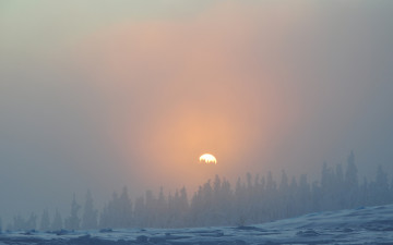 Картинка природа восходы закаты деревья лес снег зима туман небо солнце
