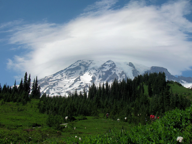 Обои картинки фото природа, горы, washington, usa, mount, rainier