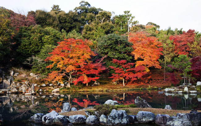 Обои картинки фото природа, лес, осень, япония, деревья, озеро