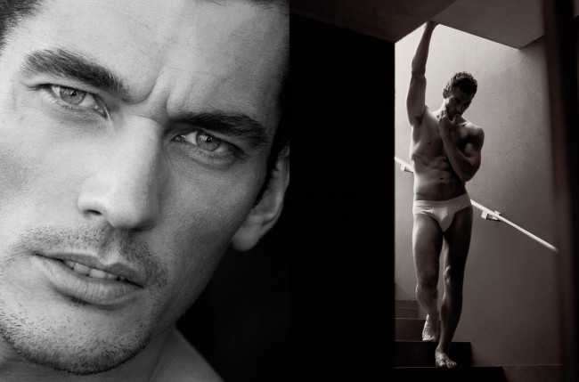 Обои картинки фото david, gandy, мужчины, dolce, and, gabbana