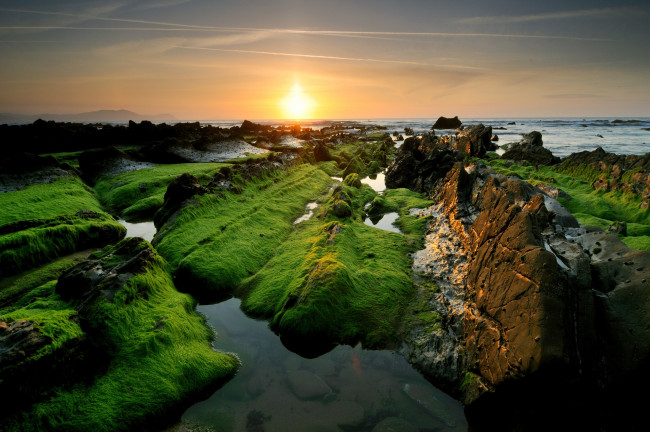 Обои картинки фото природа, восходы, закаты, камни, море, скалы, зеленые, солнце